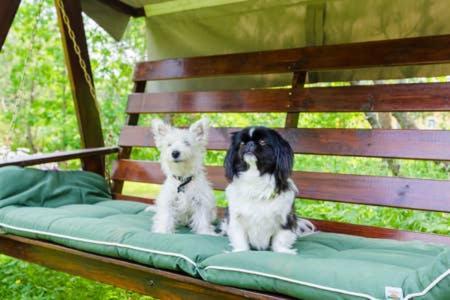 Poppelstrand Nuuksio, Pet Friendly Guest Apartment Exterior photo